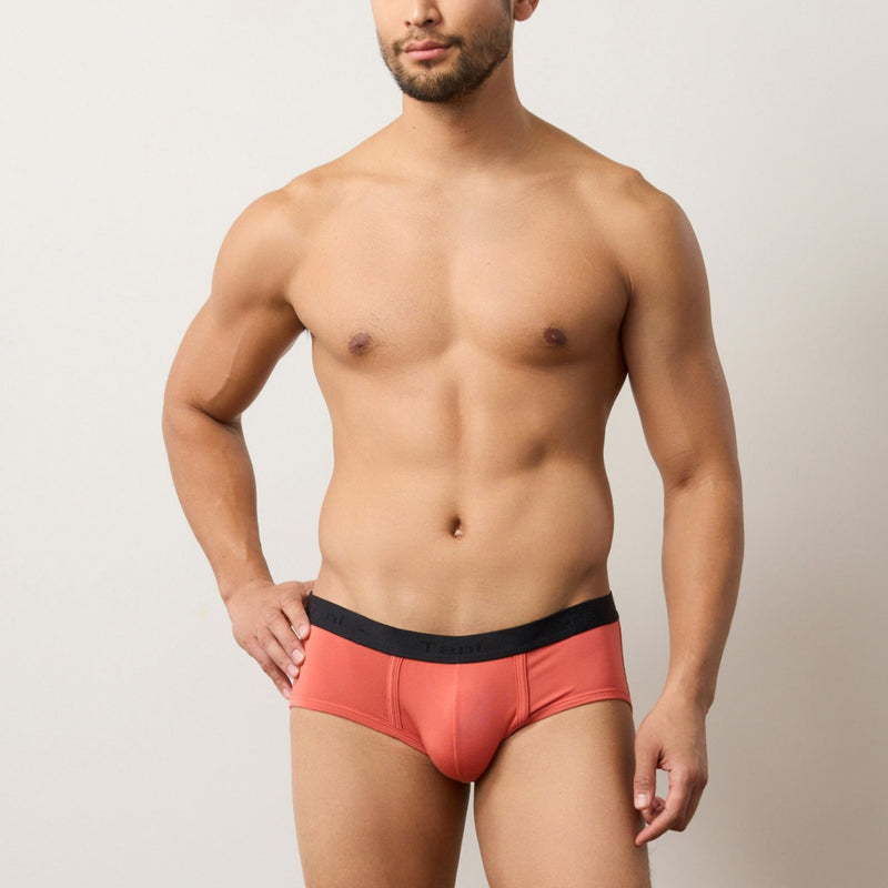 4 Pack Silktouch TENCEL™ Modal Air Waistband Brief ( Seasonal )