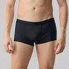 Freeform Seamless TENCEL™ Waistband Boxer Trunk