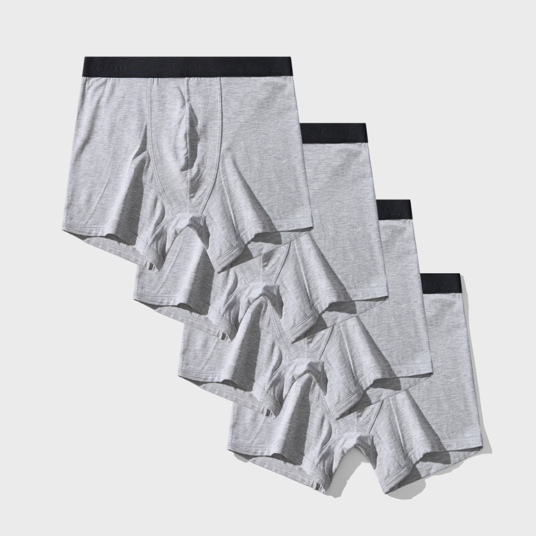 4 Pack Silktouch TENCEL™ Modal Boxer Briefs with soft waistband and breathable support.
