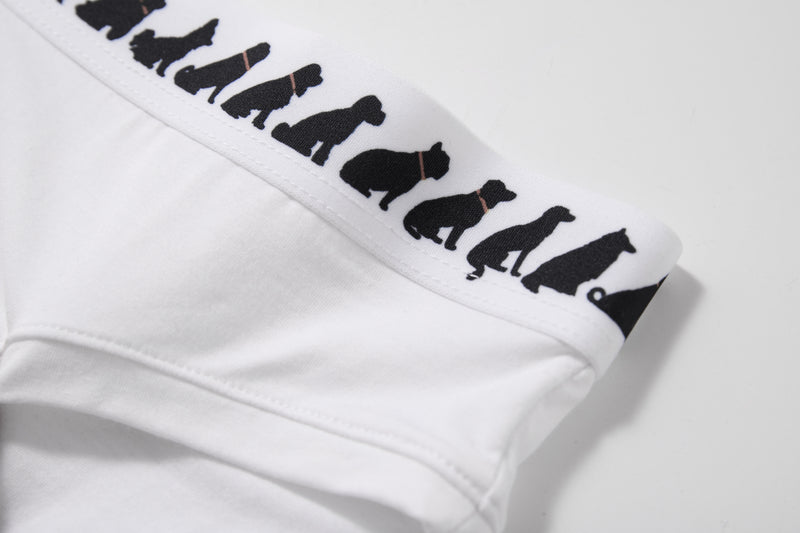 Underdog® x Silktouch TENCEL™ 内裤
